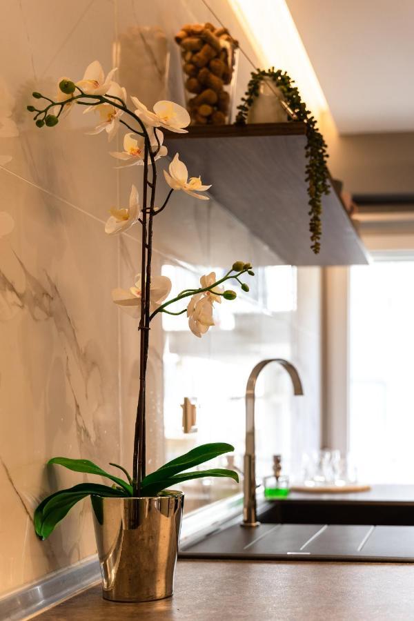 Cozy Modern Apartment Inside The City Center 塞萨洛尼基 外观 照片